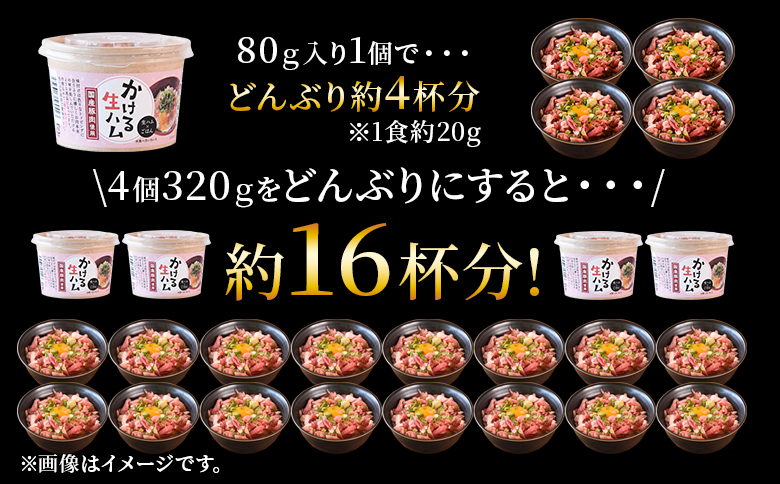 ＜かける国産生ハム 80g×4(計320g)＞国産 豚肉 お肉 生ハム 短冊 フレーク状生ハム トッピング 熱々ご飯 ご飯のお供 ごはん かけるだけ ズボラ飯 ユッケ サラダ パスタ ピザ パーティー おつまみ グルメ アレンジ おしゃれ【MI477-pl】【株式会社プラス】