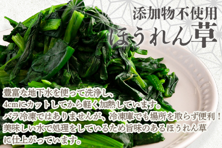 ＜【訳あり】小分け冷凍野菜詰め合わせ【全3回隔月定期便】（ほうれん草、ささがきごぼう）＞【MI300-bk-B】【ベーカリー梅茂登】