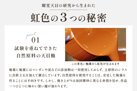 ＜虹の器〜窯変天目〜＞地元のシラスを調合した釉薬でつくった、虹色に輝く窯変天目のぐい呑み【C-1103-kr】【生楽陶苑】