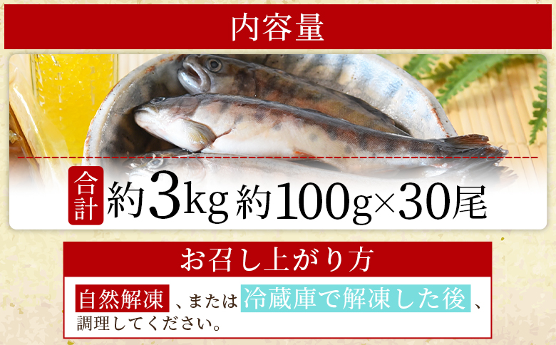 ＜新鮮冷凍ヤマメ 30尾＞ 国産 九州産 尺ヤマメ 山女魚 水産物 魚 魚介 川魚 養殖魚 塩焼き バーベキュー BBQ 【MI772-sk】【有限会社しゃくなげの森】