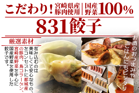 ＜国産野菜と県産豚肉をつかった冷凍生餃子 パーティー食べ比べセット 6種×5個×2箱 (タレ：中華ダレ)＞（合計60個・各5個×2箱）プレーン・チーズ、生姜、野菜、梅、キムチをセットに♪【MI097-hc-03】【ハチサンイチ】