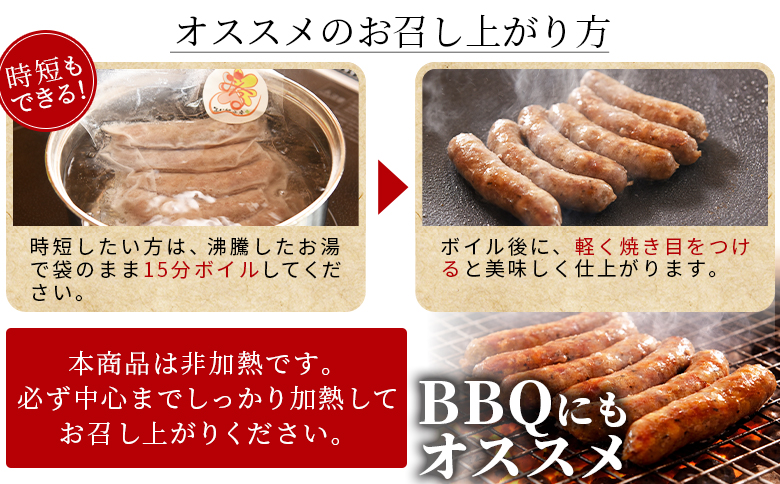 ＜国産生ハム3種と肉汁サルシッチャ 肉バルセット＞合計700g 国産 サルシッチャ ソーセージ 鶏肉 鶏生ハム 生ハム 豚モモ 豚バラ パンチェッタ サラダ スープ パスタ サンドイッチ おつまみ 晩酌 BBQ セット 詰め合わせ 【MI737-pl】【株式会社プラス】