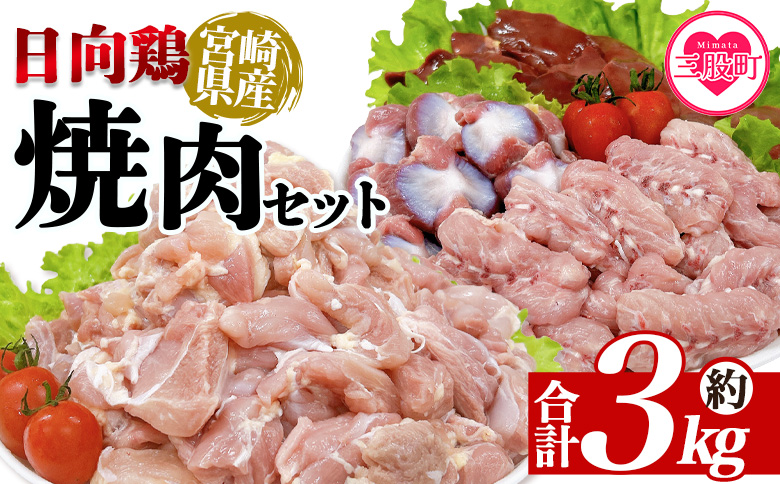 ＜宮崎県産日向鶏 焼肉セット 約3kg＞ 国産 鶏 肉 精肉 とりにく もも モモ肉 せせり セセリ 肝 レバー 砂肝 すなぎも きも 小肉 焼き鳥 焼き肉 BBQ 使いやすい 小分け パック 真空冷凍 お弁当 惣菜 蒸し鶏 数量限定 さっぱり 【MI454-tr】【TRINITY】