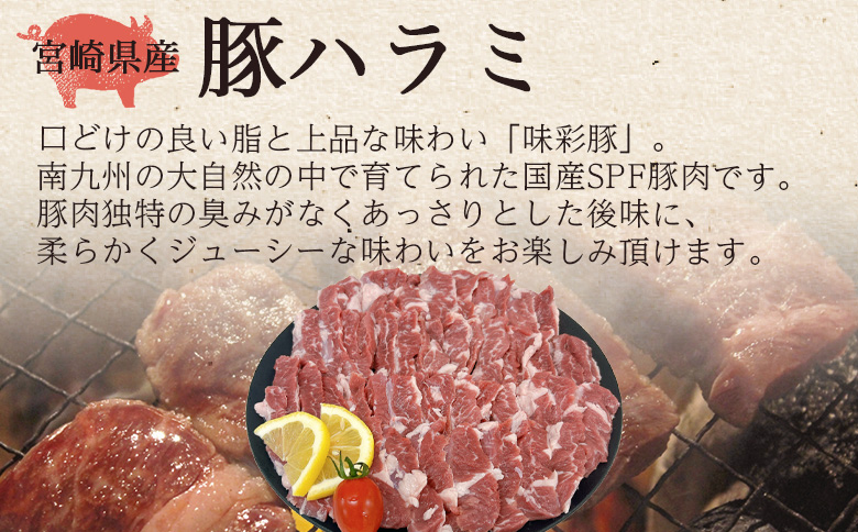 ＜宮崎県産希少部位 豚ハラミ焼肉 約1kg＞ 国産 豚肉 ぶたにく お肉 はらみ 焼き肉 ブタ ステーキ BBQ 1キロ  使いやすい 小分け パック 真空冷凍 お弁当 ジューシー 肉質 柔らかい 上品 豊かな味わい 味彩豚 ブランド 数量限定 【MI462-tr】【TRINITY】