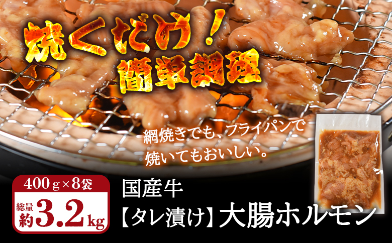 ＜【訳あり】国産牛ホルモン大腸（特製タレ漬け）計3.2kg(400g×8袋)＞大腸を秘伝の特製タレに漬け込みました！【MI428-nk】【中村食肉】