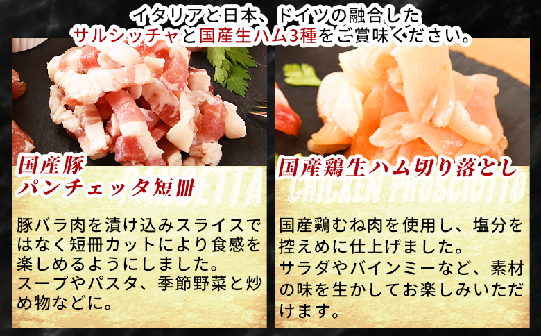＜国産生ハム3種と肉汁サルシッチャ 肉バルセット＞合計700g 国産 サルシッチャ ソーセージ 鶏肉 鶏生ハム 生ハム 豚モモ 豚バラ パンチェッタ サラダ スープ パスタ サンドイッチ おつまみ 晩酌 BBQ セット 詰め合わせ 【MI737-pl】【株式会社プラス】