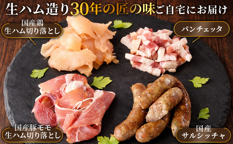 ＜国産生ハム3種と肉汁サルシッチャ 肉バルセット＞合計700g 国産 サルシッチャ ソーセージ 鶏肉 鶏生ハム 生ハム 豚モモ 豚バラ パンチェッタ サラダ スープ パスタ サンドイッチ おつまみ 晩酌 BBQ セット 詰め合わせ 【MI737-pl】【株式会社プラス】