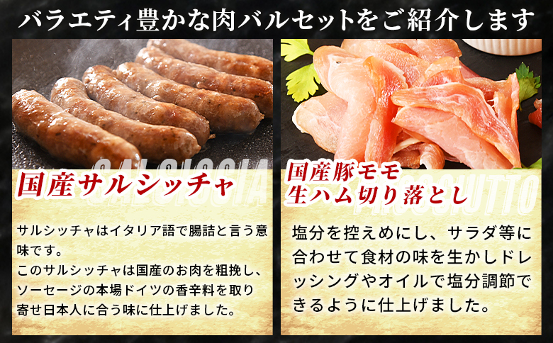 ＜国産生ハム3種と肉汁サルシッチャ 肉バルセット＞合計700g 国産 サルシッチャ ソーセージ 鶏肉 鶏生ハム 生ハム 豚モモ 豚バラ パンチェッタ サラダ スープ パスタ サンドイッチ おつまみ 晩酌 BBQ セット 詰め合わせ 【MI737-pl】【株式会社プラス】
