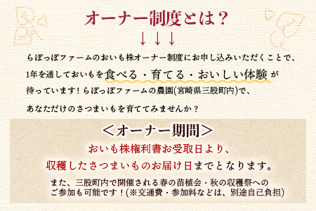 ＜【A】おいも株オーナー制度1口セット2株 霧島紅かぐら(最低2.4kg保証)＞12月中旬頃に熟成されたさつまいもをお届け! きりしまべにかぐら サツマイモ 芋 権利書 チケット 体験 苗植会 収穫祭【MI106-sh-t】【株式会社育みの里しろはと】