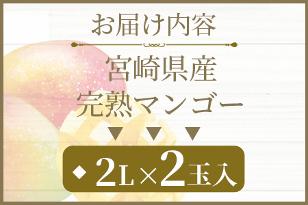 ＜先行予約 【期間数量限定】2025年5月発送 宮崎県産完熟マンゴー2L 2玉パック入り＞【MI232-yk-x1】【みまたんよかもん協同組合】