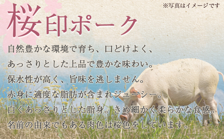 ＜桜印ポーク豚バラしゃぶ 約1.2kg＞ 国産 豚肉 ぶたにく お肉 ばら肉 ブタ しゃぶしゃぶ  使いやすい 小分け パック 真空冷凍 お弁当 ジューシー 肉質 柔らかい 上品 豊かな味わい ブランド 数量限定 【MI460-tr】【TRINITY】