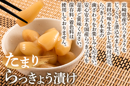 ＜純国産らっきょう3種としょうが2種詰め合わせ各2袋　計10袋＞ 食べ比べセット 国産野菜 宮崎県産 つけもの ご飯 朝ごはんのお供 おつまみ 和食 付け合わせ 豆腐の薬味 漬物グランプリ金賞 宮崎フードアワード優秀賞受賞【MI723-ko】【株式会社 上沖産業】