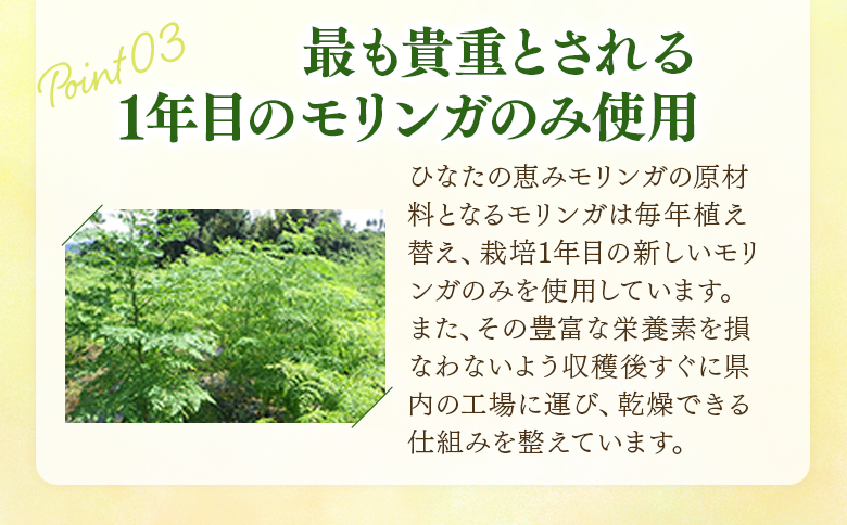 ＜ひなたの恵みモリンガパウダー25g＞宮崎県三股町産モリンガ使用 ひなたモリンガ パウダータイプ 25g入り(1個)【MI261-ys】【吉原建設株式会社】