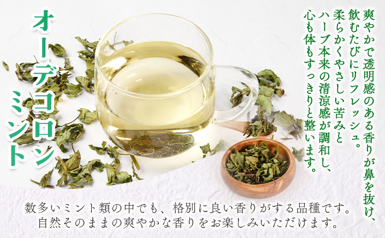 ＜ハーブティー （オーデコロンミント 約13g）＞国産 ドライ 乾燥させたハーブ 爽やか ほっとひと息 ハーブティードリンク リラックスタイム 休憩 ノンカフェイン 癒し 宮崎県 三股町【MI675-bi】【美香園】
