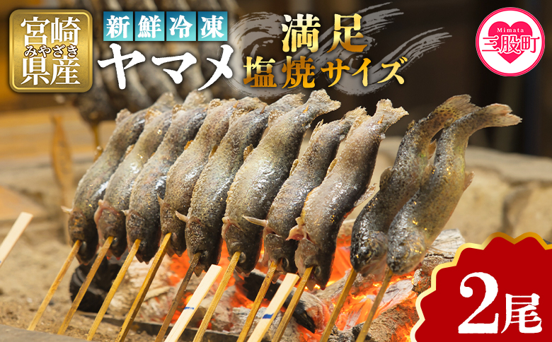 ＜新鮮冷凍ヤマメ 2尾＞ 国産 九州産 尺ヤマメ 山女魚 水産物 魚 魚介 川魚 養殖魚 塩焼き バーベキュー BBQ 【MI770-sk】【有限会社しゃくなげの森】