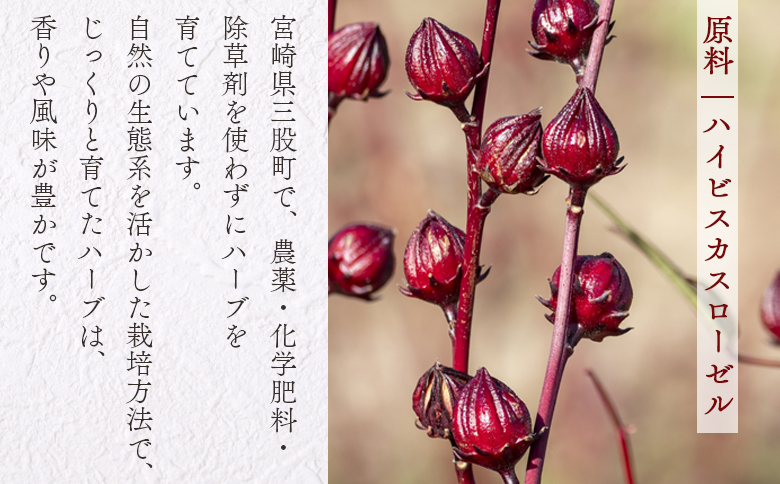 ＜ハーブティー （ローゼル 約22g）＞国産 ドライ 乾燥させたハーブ 爽やか ほっとひと息 ハーブティードリンク リラックスタイム 休憩 ノンカフェイン 癒し 宮崎県 三股町【MI673-bi】【美香園】