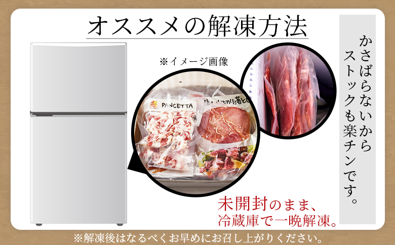 ＜国産生ハム3種と肉汁サルシッチャ 肉バルセット＞合計700g 国産 サルシッチャ ソーセージ 鶏肉 鶏生ハム 生ハム 豚モモ 豚バラ パンチェッタ サラダ スープ パスタ サンドイッチ おつまみ 晩酌 BBQ セット 詰め合わせ 【MI737-pl】【株式会社プラス】