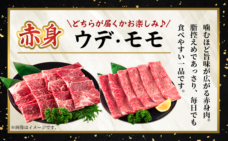 ＜宮崎牛赤身【焼肉】（ウデorモモ）300g＞【5月発送】脂控えめ ヘルシー あっさり うで もも 炒め物 肉料理 ご馳走 国産 ブランド牛肉 黒毛和牛【MI681-my-may】【ミヤチク】