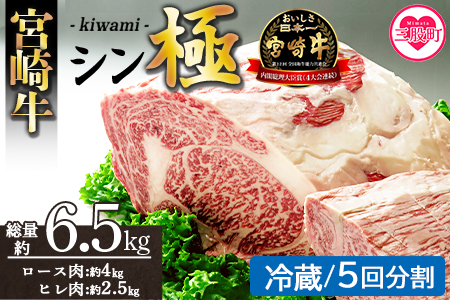 ＜宮崎牛『シン極(きわみ)』ロース肉約4kg、ヒレ肉約2.5kg  (冷蔵・5回配送)＞ 国産ブランド牛 牛肉 おすすめ 黒毛和牛 国産牛肉 和牛 人気 コスパ 定期便 量が多い 焼肉用 ステーキ 切り落とし すき焼き しゃぶしゃぶ【MI635-nk-c-05】【中村食肉】