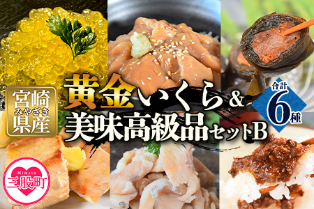 ＜黄金イクラと美味高級品セットB＞(6種)黄金イクラやヤマメなどを詰め合せ！【B-0207-sk】【有限会社しゃくなげの森】