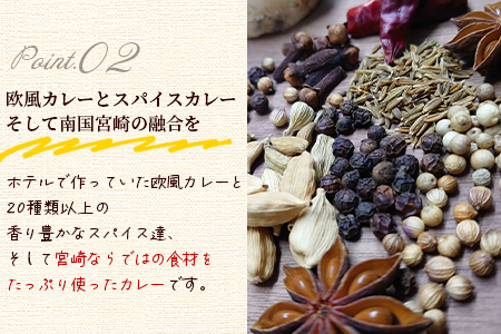 ＜108時間煮込んだカレー 冷凍真空パック 4P×180g＞宮崎県産黒毛和牛使用！108時間煮込んだ黒毛和牛とマンゴーの欧風スパイスカレー4袋！【MI228-tc】【cafe食堂とことこ】