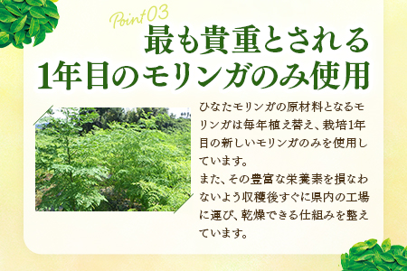  ＜ひなたモリンガパウダー50g＞宮崎県三股町産モリンガ使用「ひなたモリンガ」パウダー50g入り(1個)【MI262-ys】【吉原建設株式会社】