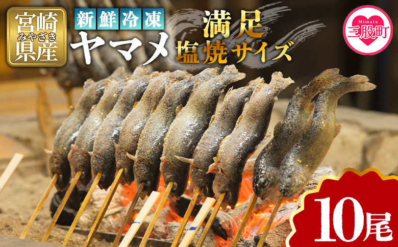 ＜新鮮冷凍ヤマメ 10尾＞ 国産 九州産 尺ヤマメ 山女魚 水産物 魚 魚介 川魚 養殖魚 塩焼き バーベキュー BBQ 【MI771-sk】【有限会社しゃくなげの森】