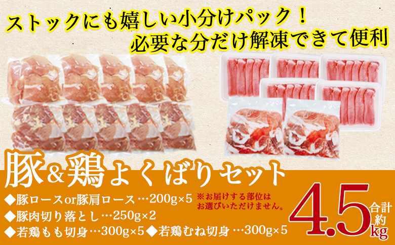 ＜宮崎県産 豚肉鶏肉よくばりセット 合計4.5kg＞ 4種セット 小分けパック 真空パック ロース スライス カット肉 カット済み もも肉 むね肉 切身 切り身 普段使い 料理 詰め合わせ 精肉 県産 国産 炒め物 煮物【MI731-tr】【TRINITY】