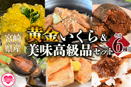 ＜黄金イクラと美味高級品セット＞(6種)黄金イクラやヤマメなどを詰め合せ！【B-0205-sk】【有限会社しゃくなげの森】