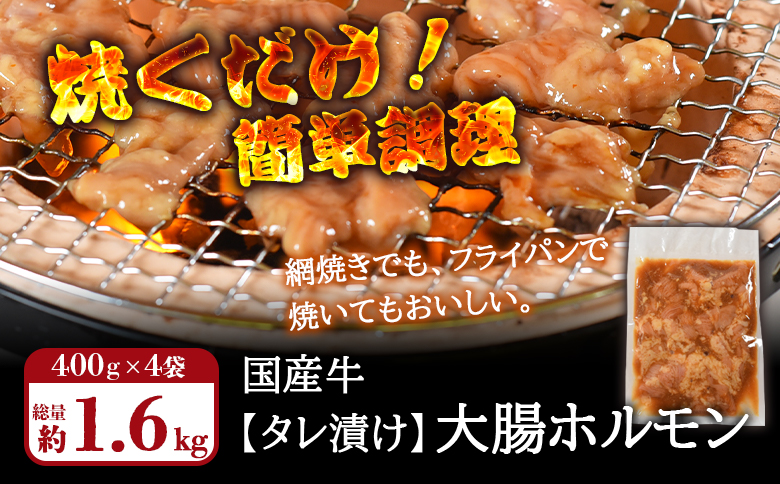 ＜【訳あり】国産牛ホルモン大腸（特製タレ漬け）約1.6kg＞(計1.6kg・400g×4P)大腸を秘伝の特製タレに漬け込みました！【MI024-nk-x1】【中村食肉】