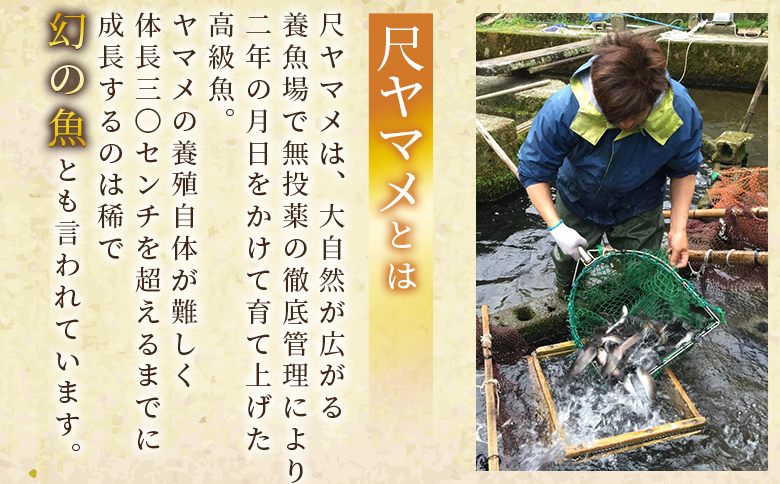 ＜尺ヤマメ甘露煮 3本＞国産 九州産 山女魚 水産物 魚 魚介 養殖魚 誕生日 プレゼント ギフト 贈答品 おせち料理 おかず おつまみ 肴 バーベキュー BBQ【MI756-sk】【有限会社しゃくなげの森】