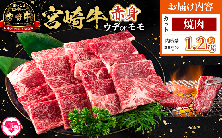 ＜宮崎牛赤身【焼肉】（ウデorモモ）1.2kg＞【3月発送】脂控えめ ヘルシー あっさり うで もも 炒め物 肉料理 ご馳走 国産 ブランド牛肉 黒毛和牛【MI684-my-mar】【ミヤチク】