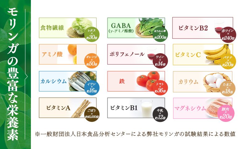 ＜ひなたの恵みモリンガパウダー25g＞宮崎県三股町産モリンガ使用 ひなたモリンガ パウダータイプ 25g入り(1個)【MI261-ys】【吉原建設株式会社】