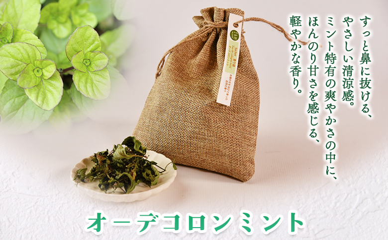 ïŒéŠãè¢ïŒãªãŒãã³ãã³ãã³ãïŒïŒåœç£ ãã©ã€ 也ç¥ãã倩ç¶ããŒã èªç¶ è³éŠçš ãµã·ã§ ã¯ããŒãŒãã åŒãåºã çé¢ ãéšå± è»å
è»ã®äž ããã° é ã«ãã³ å®®åŽç äžè¡çºãMI713-biããçŸéŠåã