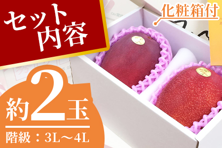 ＜先行予約【期間数量限定】2024年5月発送 宮崎県産完熟マンゴー3L〜4L 2玉化粧箱入＞(2玉入り)【 B-0602-yk】【みまたんよかもん協同組合】