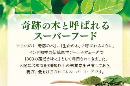  ＜ひなたモリンガパウダー50g＞宮崎県三股町産モリンガ使用「ひなたモリンガ」パウダー50g入り(1個)【MI262-ys】【吉原建設株式会社】