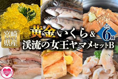 ＜黄金イクラと渓流の女王ヤマメ逸品セットB＞(6種)黄金イクラやヤマメなどを詰め合せ！【B-0206-sk】【有限会社しゃくなげの森】