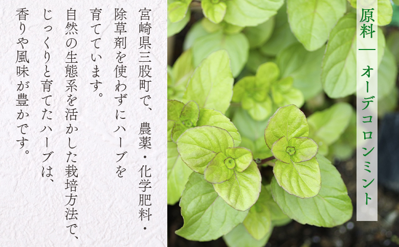 ＜ハーブティー （オーデコロンミント 約13g）＞国産 ドライ 乾燥させたハーブ 爽やか ほっとひと息 ハーブティードリンク リラックスタイム 休憩 ノンカフェイン 癒し 宮崎県 三股町【MI675-bi】【美香園】