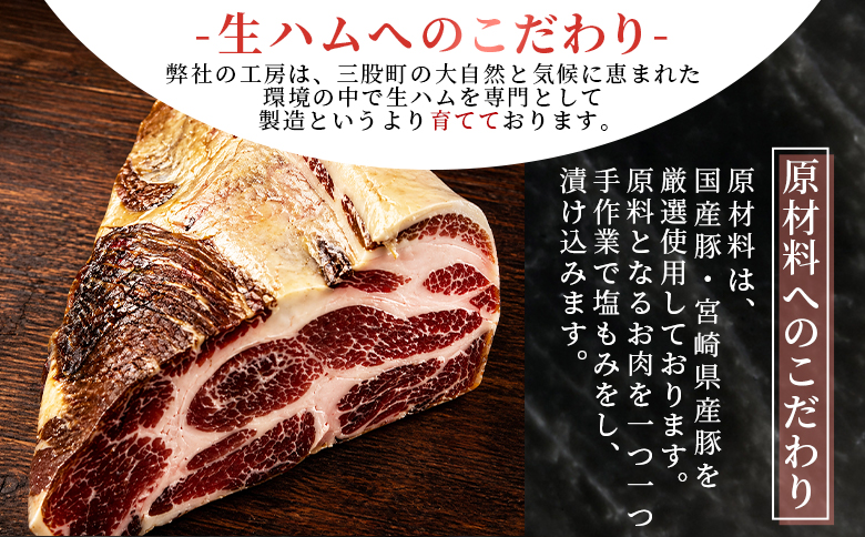 ＜【訳あり】極みロース入り5種食べ比べセット生ハム＞合計750g 国産 生ハム 豚モモ 豚ロース 豚肩ロース 豚バラ スライス コッパスライス パンチェッタ サラダ スープ パスタ 訳アリ ご家庭用 家庭用 セット 詰め合わせ 【MI735-pl】【株式会社プラス】
