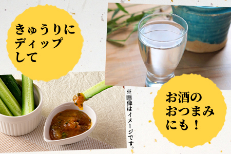 ＜秘伝レシピでつくる特製油みそ 約800g(約200g×4P)＞おにぎりやご飯のお供、きゅうりをディップしてお酒のおつまみに！【MI298-ad】【安藤ストアー】