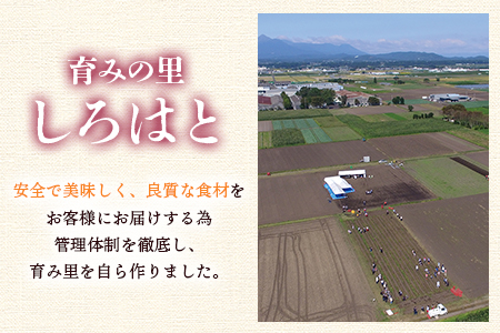 ＜【A】おいも株オーナー制度1口セット2株 霧島紅かぐら(最低2.4kg保証)＞12月中旬頃に熟成されたさつまいもをお届け! きりしまべにかぐら サツマイモ 芋 権利書 チケット 体験 苗植会 収穫祭【MI106-sh-t】【株式会社育みの里しろはと】