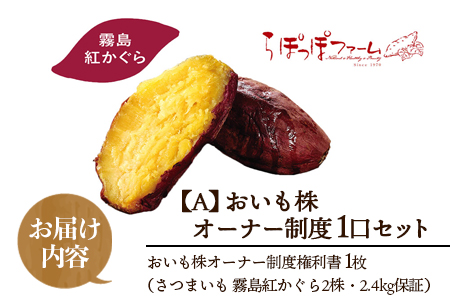 ＜【A】おいも株オーナー制度1口セット2株 霧島紅かぐら(最低2.4kg保証)＞12月中旬頃に熟成されたさつまいもをお届け! きりしまべにかぐら サツマイモ 芋 権利書 チケット 体験 苗植会 収穫祭【MI106-sh-t】【株式会社育みの里しろはと】