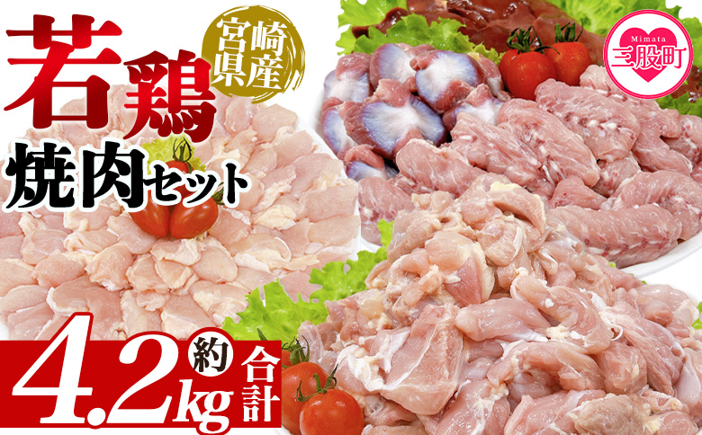 ＜宮崎県産若鶏焼肉セット 約4.2kg＞ 国産 鶏 肉 精肉 モモ もも肉 使いやすい パック 真空冷凍 切り身 選べる数量 お弁当 惣菜 からあげ 照り焼き 数量限定 BBQ バーベキュー セセリ せせり レバー 砂肝 肝 てば 手羽中 小分け 【MI445-tr】【TRINITY】