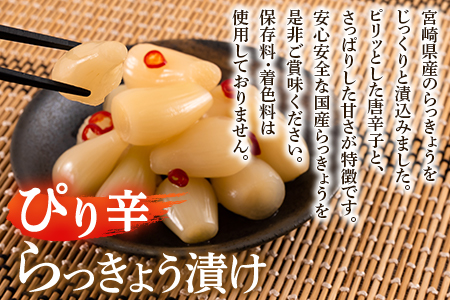 ＜純国産らっきょう3種としょうが2種詰め合わせ各2袋　計10袋＞ 食べ比べセット 国産野菜 宮崎県産 つけもの ご飯 朝ごはんのお供 おつまみ 和食 付け合わせ 豆腐の薬味 漬物グランプリ金賞 宮崎フードアワード優秀賞受賞【MI723-ko】【株式会社 上沖産業】