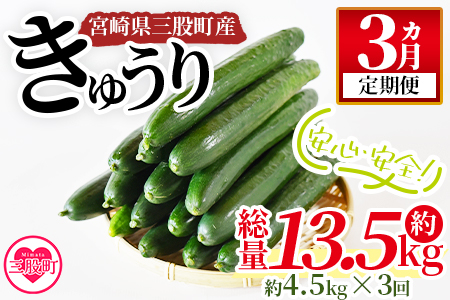 ＜【3ヵ月定期便】【期間限定】パリッと甘い魔法のきゅうり マジキュー約4.5kg×3回＞(総量約13.5kg・約4.5kg×3回)パリッと甘い魔法のキュウリ「マジキュー」漬物や天ぷらに！【MI200-yt】【ゆたか農園】