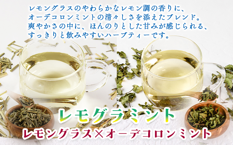 ＜ハーブティー ティーバッグ 1袋3個入（レモグラミント）＞国産 ドライ 乾燥させたハーブ 爽やか ほっとひと息 ハーブティードリンク リラックス 休憩 ノンカフェイン 持ち運びに便利 ぷちギフト 後片付けが簡単 宮崎県 三股町【MI712-bi】【美香園】