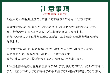 ＜コロカラつみき＆からからつみき3種類クリエイティブセット504P＞《宮崎県産杉使用》【B-1711-bo】【boofoowoo】