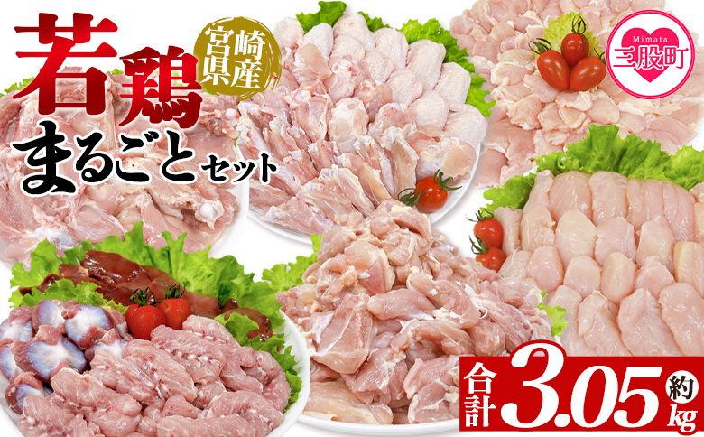 ＜宮崎県産若鶏まるごとセット 約3.05kg＞ 国産 鶏 肉 精肉 モモ もも肉 使いやすい パック 真空冷凍 切り身 選べる数量 お弁当 惣菜 からあげ 照り焼き 数量限定 BBQ バーベキュー 鶏ムネ 鶏むね 鳥モモ ささみ ササミ 小分け 【MI443-tr】【TRINITY】