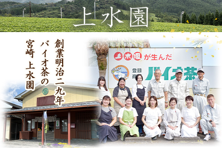 ＜バイオ茶(3g×20パック入)×100袋＞自家茶園の茶葉100％のお茶をお楽しみください！【D-0804-km】【宮崎上水園】