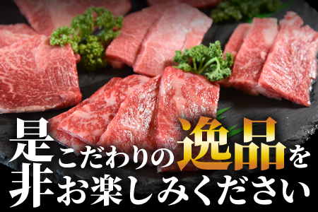 ＜3D冷凍宮崎牛焼肉食べ比べセット＞(合計600g)肩ロース、バラ、モモ、ウデ、ロース、ヒレ各100gずつ！【MI089-my】【ミヤチク】